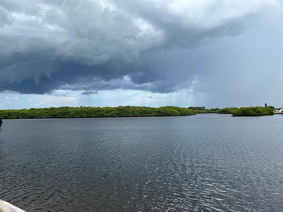 Rainstorm in the background looking over the Little Manatee Preserve