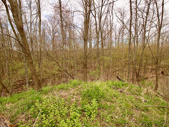 4th image of Old Ore Creek Dr