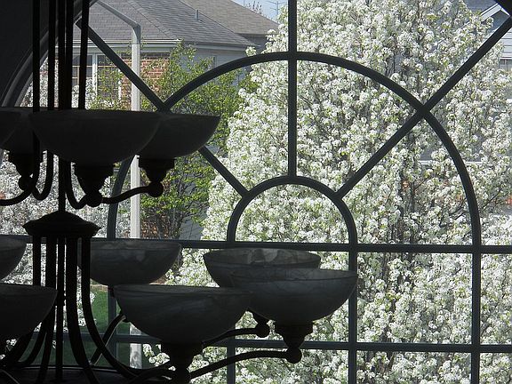 Seasonal blooming trees