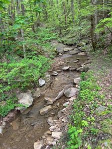 3911 Middle Fork Rd, Warbranch, KY, 40874