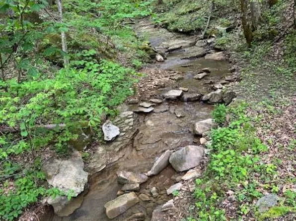 3911 Middle Fork Rd, Warbranch, KY 40874