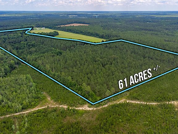 4th image of 61.85 Acre Hwy #602