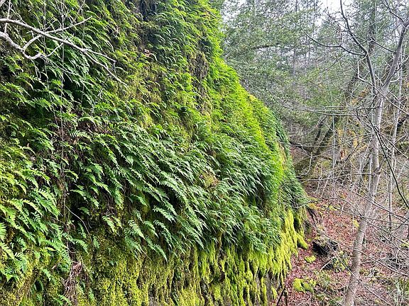 5th image of 37300 Sherwood Rancheria Road