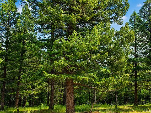 3rd image of 123 Ellis Lake Circle LOT 59