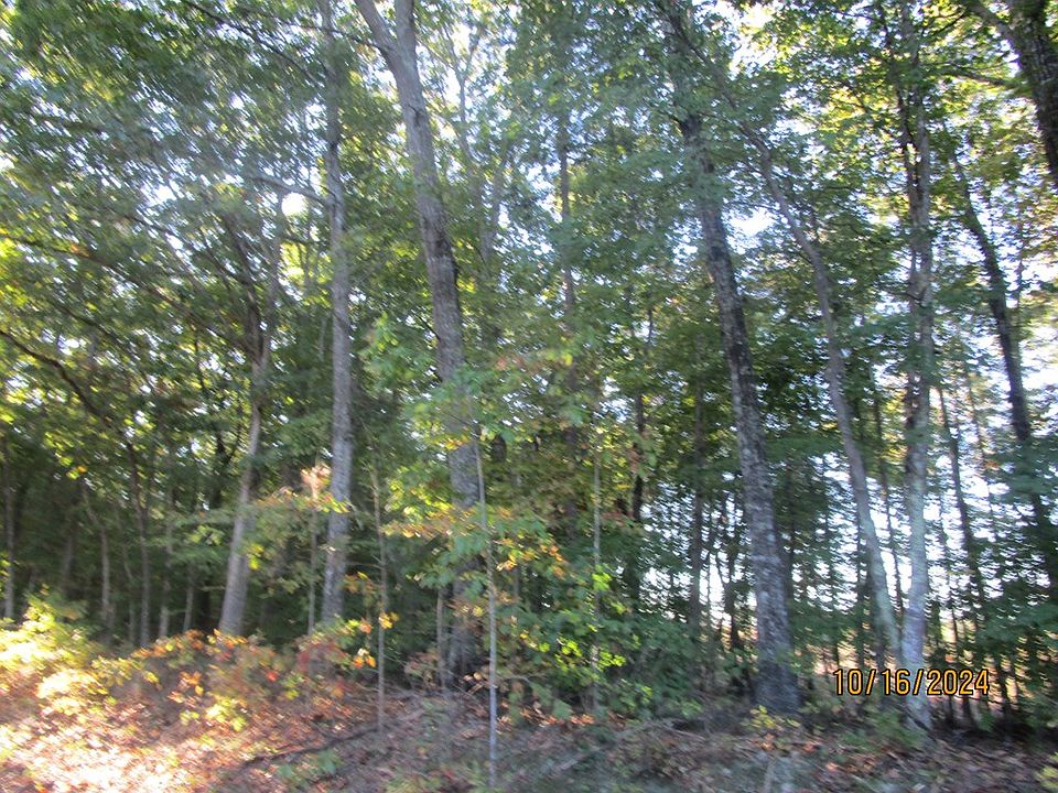 2nd image of 626 Rubermont Rd