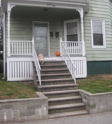 Photo 4