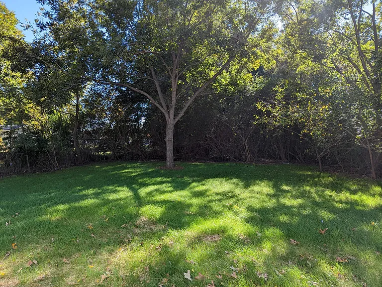 505 W Preston St — Photo 18