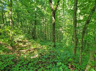 Troy Martin Rd, Whittier, NC 28789