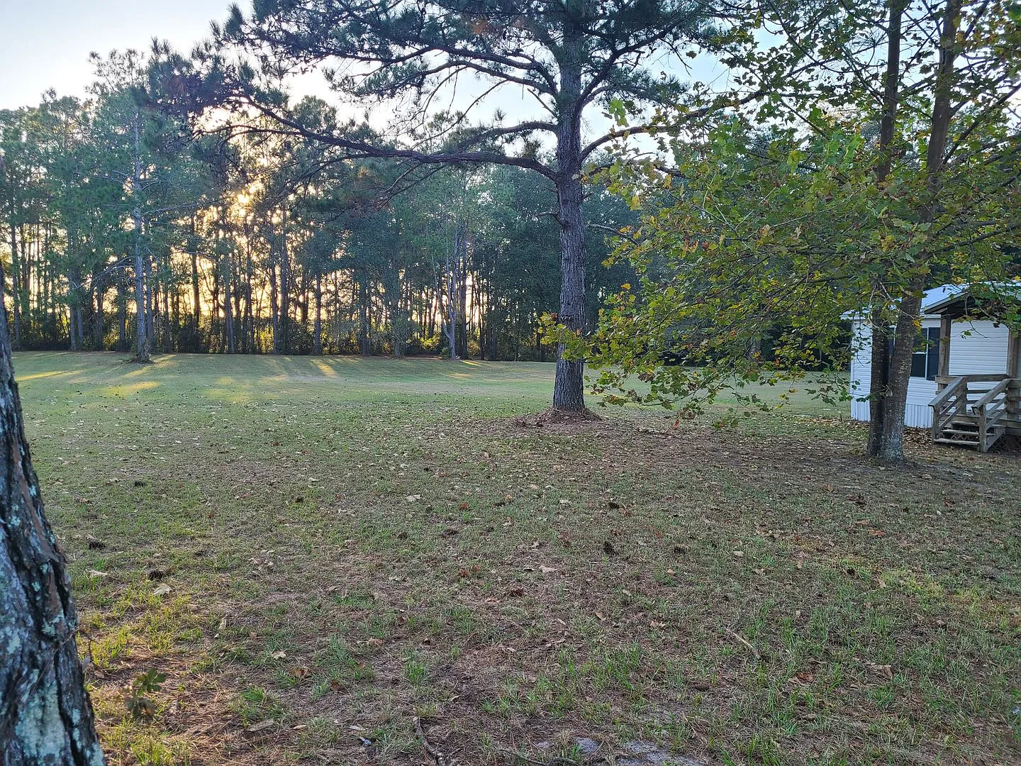 3/2 on 6 Acres in Archer! — Photo 2