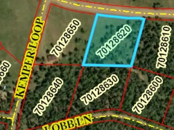 2941 FORBES PARK Road LOT 2941, Fort Garland, CO 81133