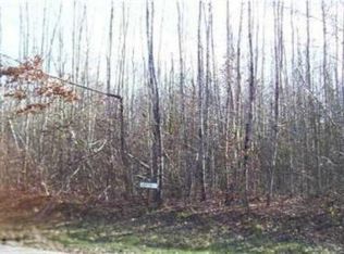 0 Blue Fox Way, Howard City, MI 49329