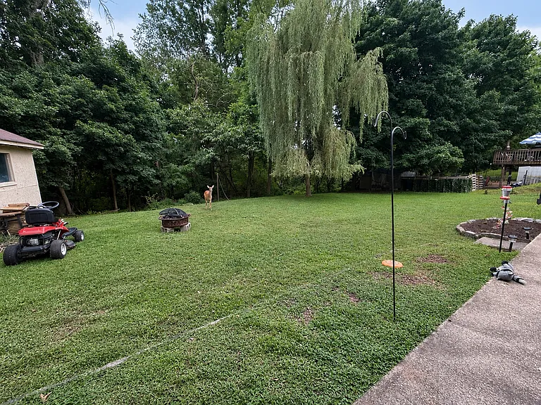 175 Bollinger Dr — Photo 18