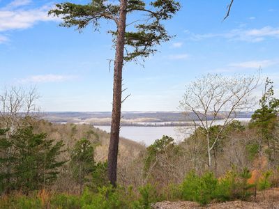 0 Old Skyline Dr #274, Waverly, TN, 37185