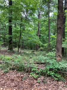 2960 Madison St #1360, Huntsville, AR, 72740