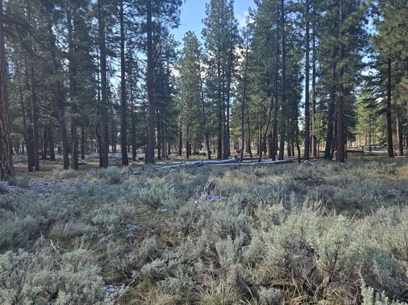 0 Hazel Way, Susanville, CA 96130