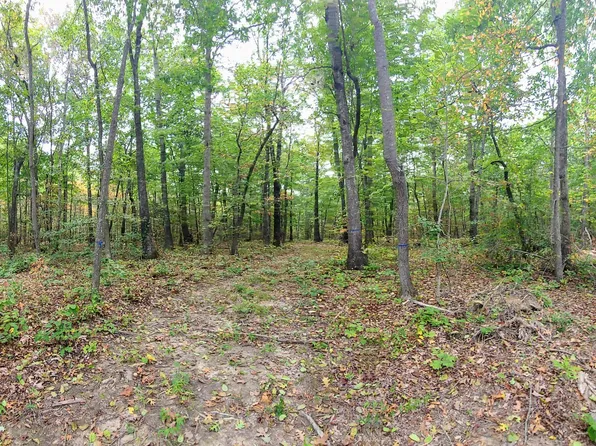 64 Mossy Rock Ln Lot 52, Monteagle, TN 37356