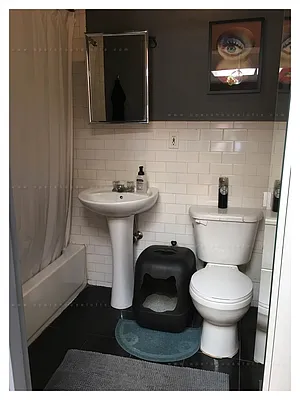 Rented by Opera House Lofts | media 47