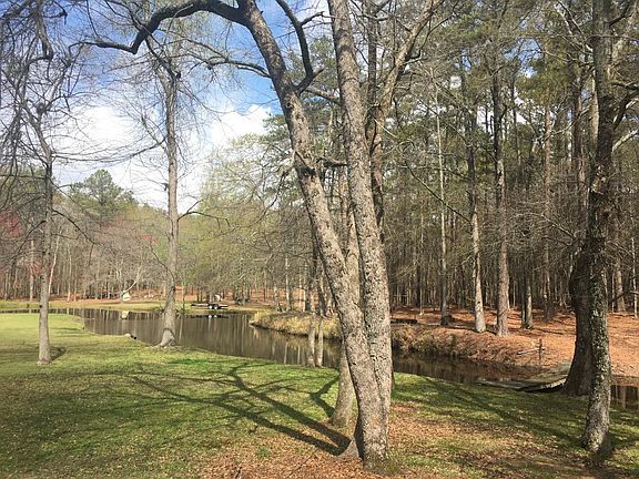 Backyard - Beautiful pond