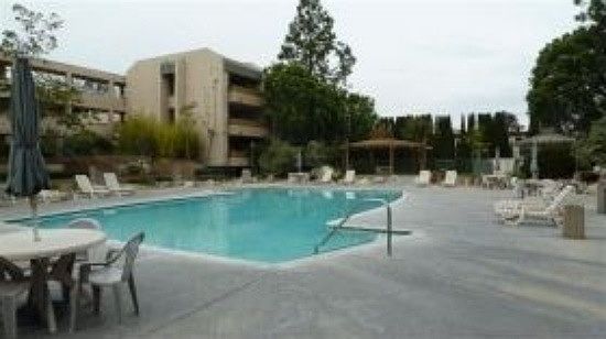 Swimming Pool + Jacuzzi