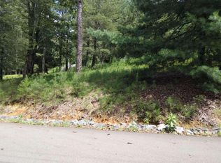 1 Stegall Mill Rdg, Ellijay, GA 30536