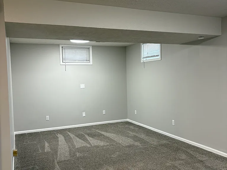 Basement Living Area