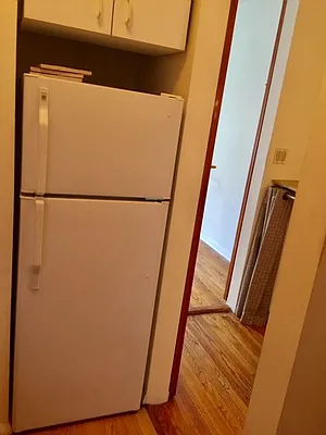 Rented by Manhattan Flats | media 25