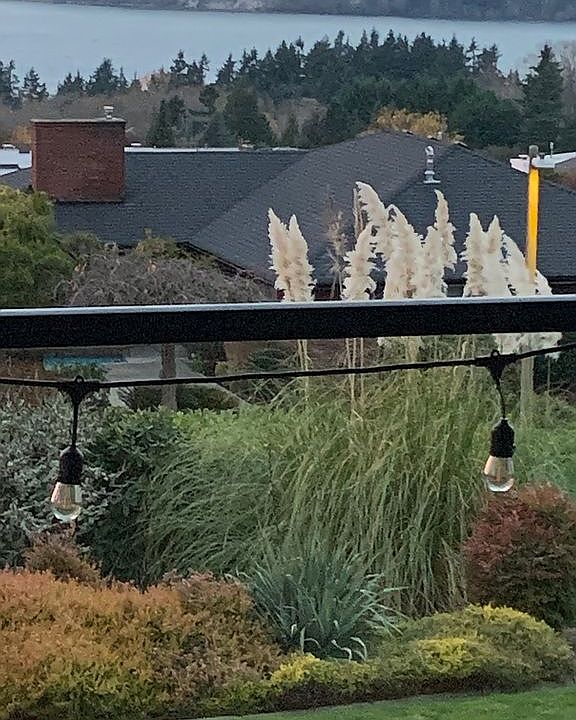 Garden view from the deck