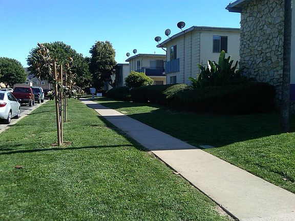 New trees and landscaping