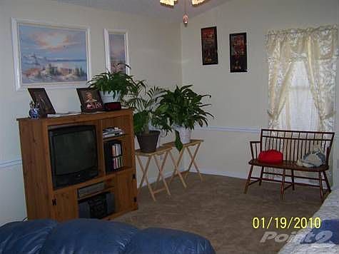 living room with lots of light and cathedral ceiling