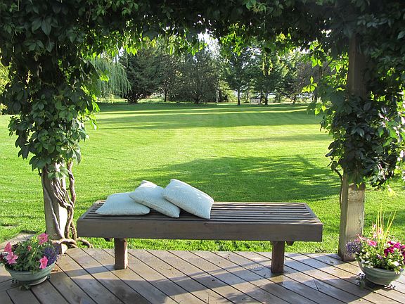 Privacy and shade and garden