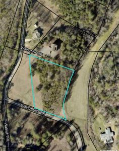 Walnut Hills Dr, Mineral Bluff, GA, 30559