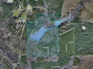 242 Slaughter Rd, Homer, LA 71040