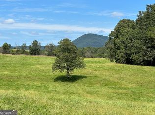 6174 Clermont Hwy, Clermont, GA 30527