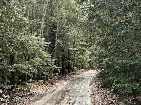 TBD St John Road, Passadumkeag, ME 04475