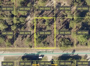 851 Carbon St E, Lehigh Acres, FL 33974