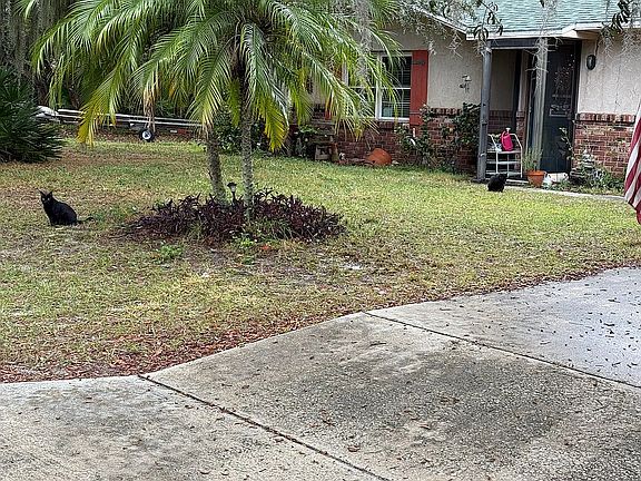 3rd image of 936 Baylor Dr