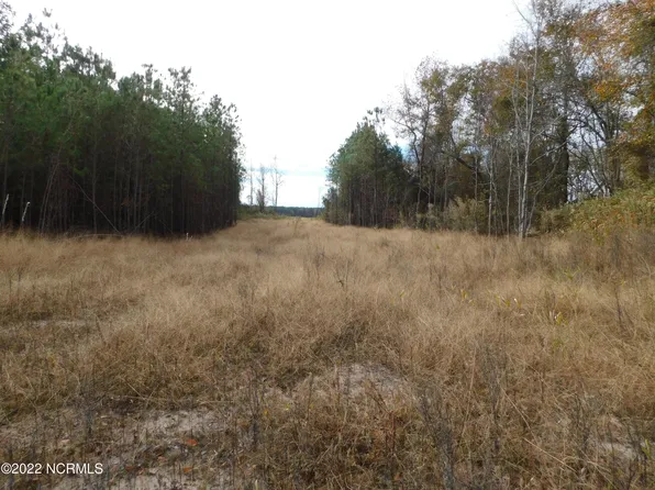 Tbd Poplar Neck, Tyner, NC 27980