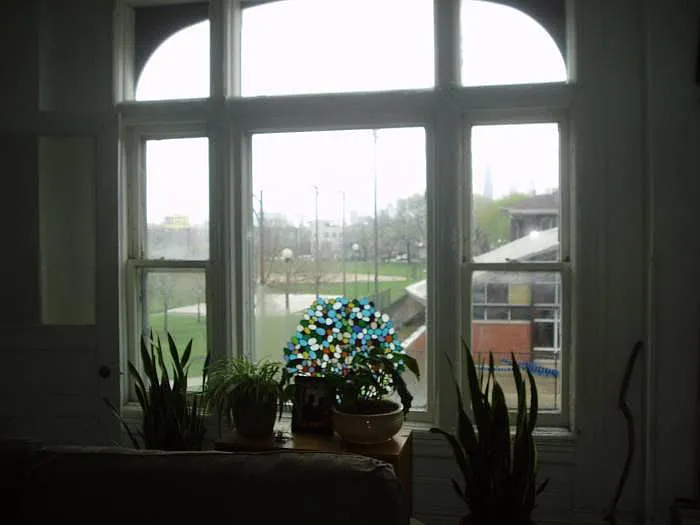 View from front window