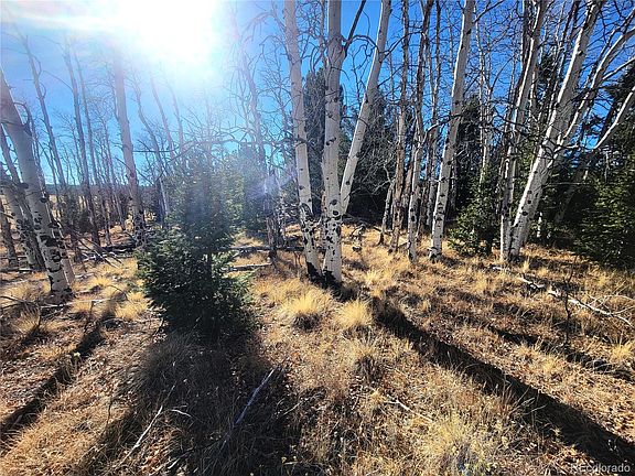 4th image of 8802 Ranch Road