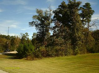 14622 Topaz Cv, Willis, TX 77378