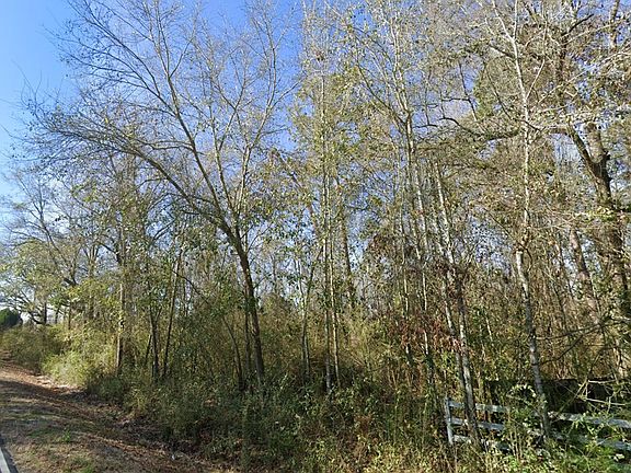 2nd image of LOT 1&2 Erve Williams Rd