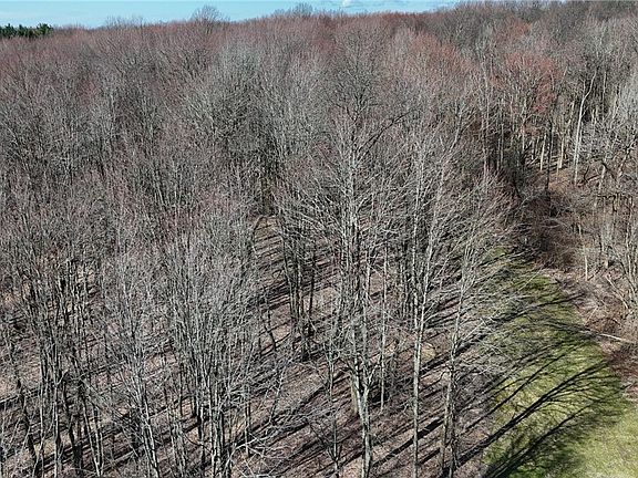 5th image of Bell Rd