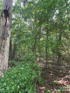 0 Monticello Dr, Albemarle, NC, 28001
