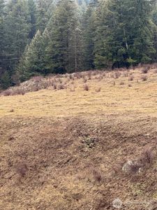 0 Lot 39 Mountain View, Oroville, WA, 98844