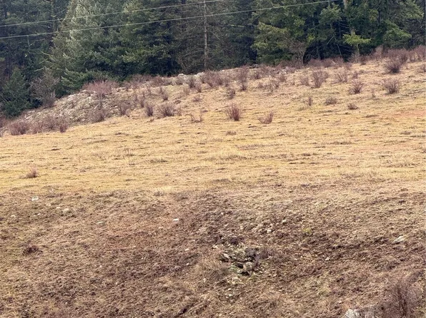 0 Lot 39 Mountain View, Oroville, WA 98844