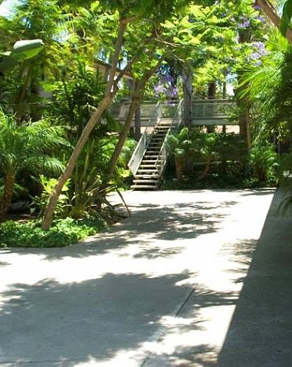 Lush setting