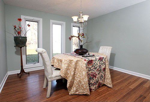5th image of 508 Running Creek Pl
