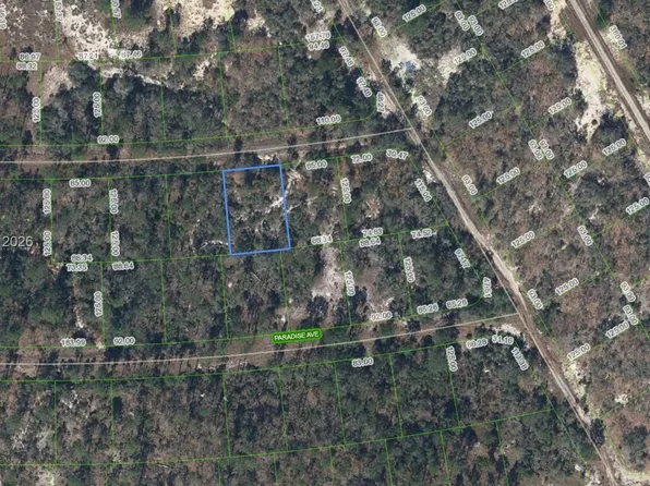 367 Whispering Ave, Lake Placid, FL 33852