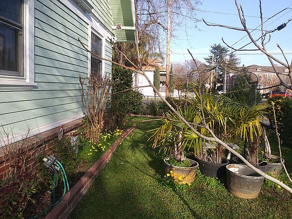Side Yard
