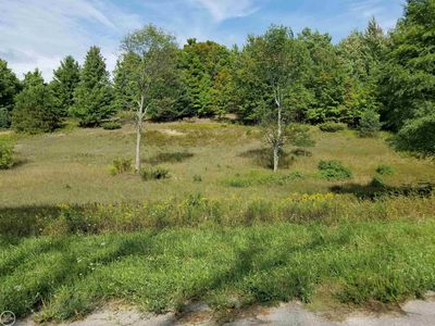 S Fritz Rd, Maple City, MI, 49664